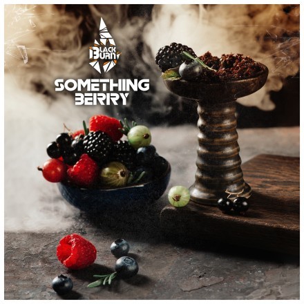 Табак BlackBurn - Something Berry (Что-то Ягодное, 100 грамм) купить в Владивостоке
