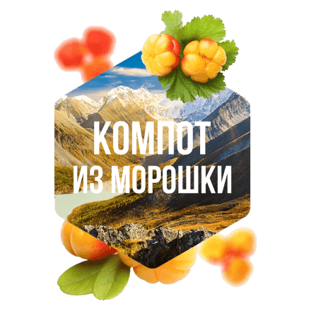 Табак Сарма - Компот из Морошки (120 грамм) купить в Владивостоке