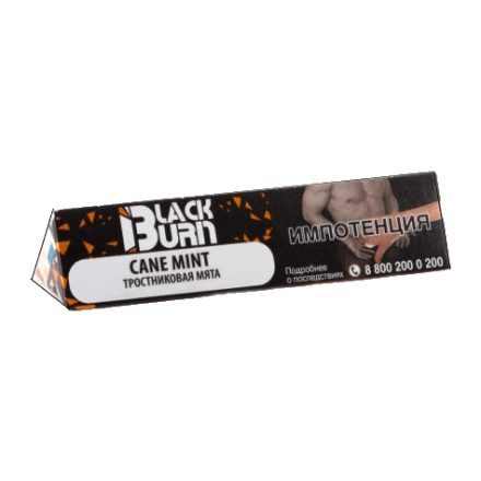 Табак BlackBurn - Cane Mint (Тростниковая Мята, 25 грамм) купить в Владивостоке