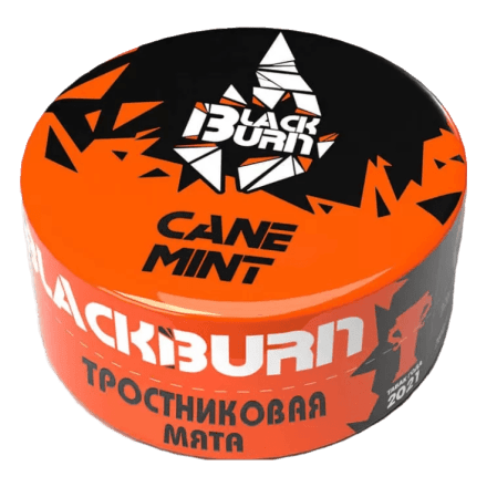 Табак BlackBurn - Cane Mint (Тростниковая Мята, 25 грамм) купить в Владивостоке