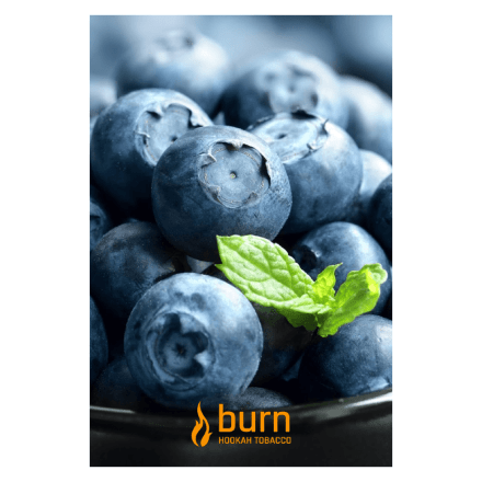 Табак Burn - Blueberry Mint (Черника с Мятой, 100 грамм) купить в Владивостоке