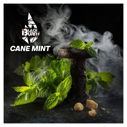 Табак BlackBurn - Cane Mint (Тростниковая Мята, 100 грамм) купить в Владивостоке
