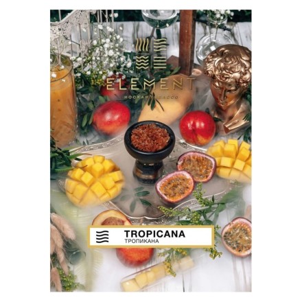 Табак Element Земля - Tropicana NEW (Тропикана, 25 грамм) купить в Владивостоке