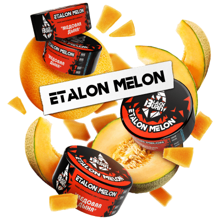Табак BlackBurn - Etalon Melon (Медовая Дыня, 25 грамм) купить в Владивостоке