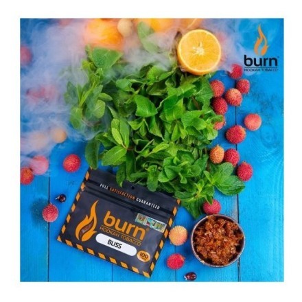 Табак Burn - Bliss (Личи с Мятой, 25 грамм) купить в Владивостоке