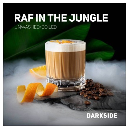 Табак DarkSide Core - RAF IN THE JUNGLE (Апельсиновый Раф, 30 грамм) купить в Владивостоке