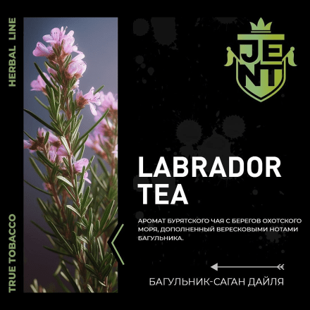 Табак Jent - Labrador Tea (Багульник и Саган Дайля, 30 грамм) купить в Владивостоке