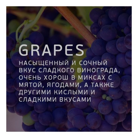 Табак Twelve - Grapes (Виноград, 100 грамм, Акциз) купить в Владивостоке